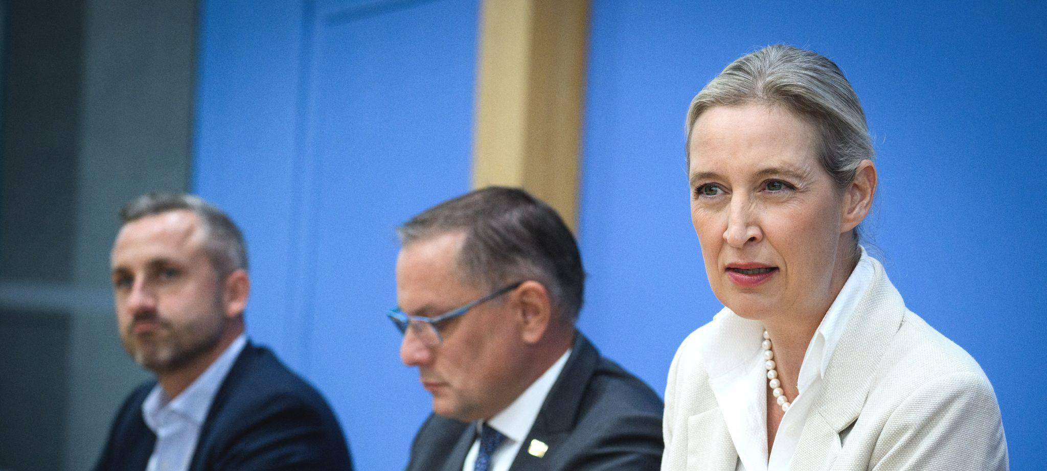 Nach der Landtagswahl in Sachsen-Anhalt - AfD